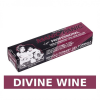 Manic Panic Professional Divine Wine 90ml ημιμονιμη βαφη μαλλιων
